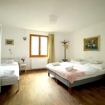 Prazdninovy Dum Zahrada 別荘 Hroznětín