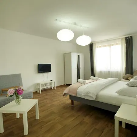 Prazdninovy Dum Zahrada 別荘 Hroznětín